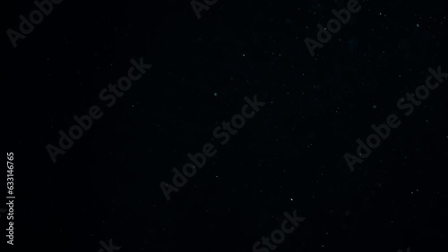 Natural Organic Dust Particles Floating On Black Background. Dynamic Dust Particles Randomly Float In Space With Fast And Slow Motion. Shimmering Glittering White Particles With Bokeh In The Air.	

