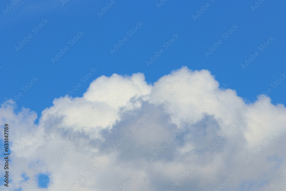Fototapeta premium 青空に浮かぶ入道雲 夕立とゲリラ豪雨