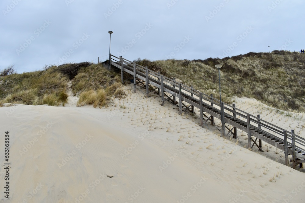 sand dunes and a wooden ladder going down to the beach sand dunes and a wooden ladder going down to the beach