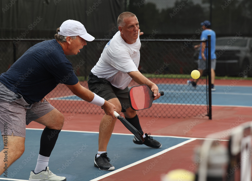 Fototapeta premium pickleball kitchen volley