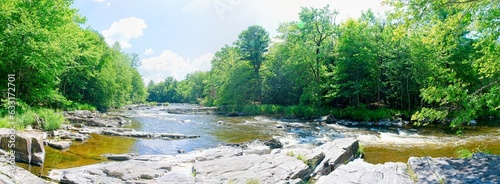 river in the forest panorama