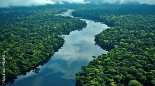 Amazon Rainforest in Brazil, generative AI © Thumbs