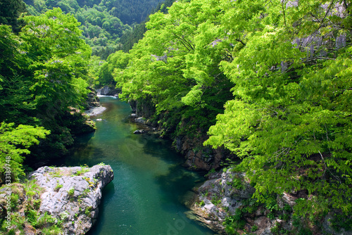 新緑の荒川渓谷