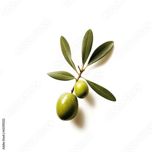 Green olive branch on a white background © NesliHunFoto