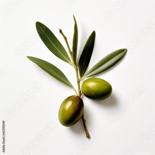 An Olive Branch with Two Olives and Few Leaves