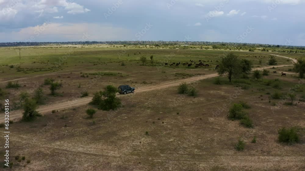 Savanna expedition vehicle 4K Aerial drone shot Savanna expedition vehicle 4K Aerial drone shot