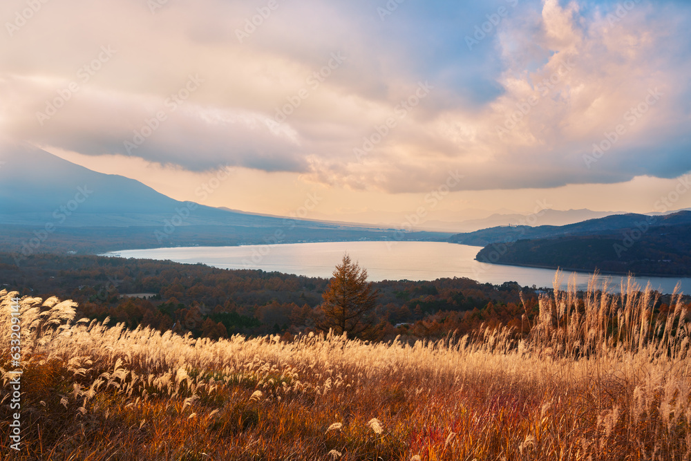 Fototapeta premium 山中湖の夕景