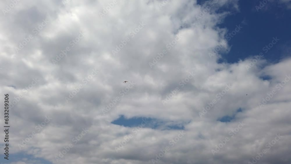 Extreme wide of air trike flying through clouds from beach on a fine day. Extreme wide of air trike flying through clouds from beach on a fine day.