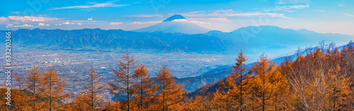 甘利山より富士山を望む