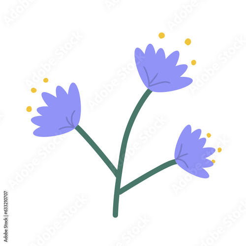 blue flower 