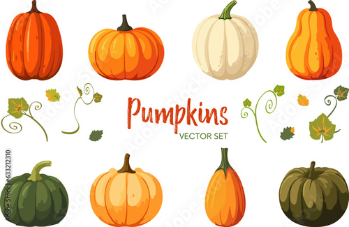 Vector set of various colorful pumpkins cartoon style isolated on white background