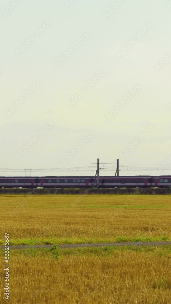 Passing highspeed train in rural summer country landscape. Cross country rail service. High-speed train movement. Modern high speed train. The high-speed intercity train. Vertical video background. Passing highspeed train in rural summer country landscape. Cross country rail service. High-speed train movement. Modern high speed train. The high-speed intercity train. Vertical video background.