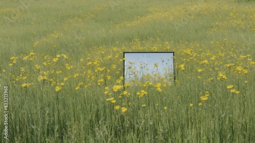 mirror in the field wallpaper background photo