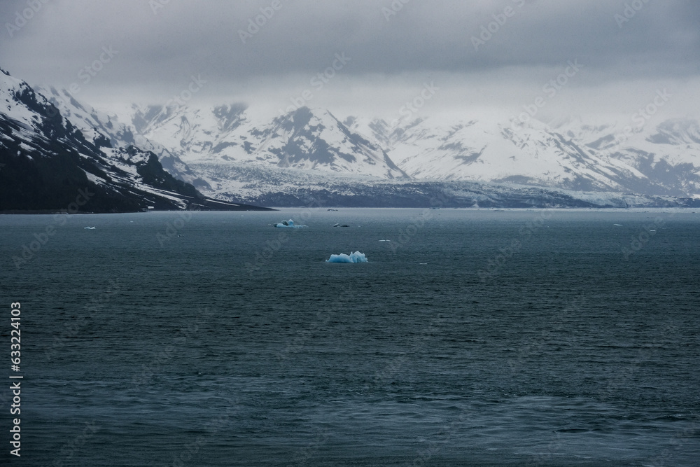 Obraz premium Cruise to Hubbard Glacier Bay in Alaska with floating ice bergs and drift ice floes on ocean water surface surrounded by snow cap mountains and wildlife wild nature scenery Last Frontier adventure