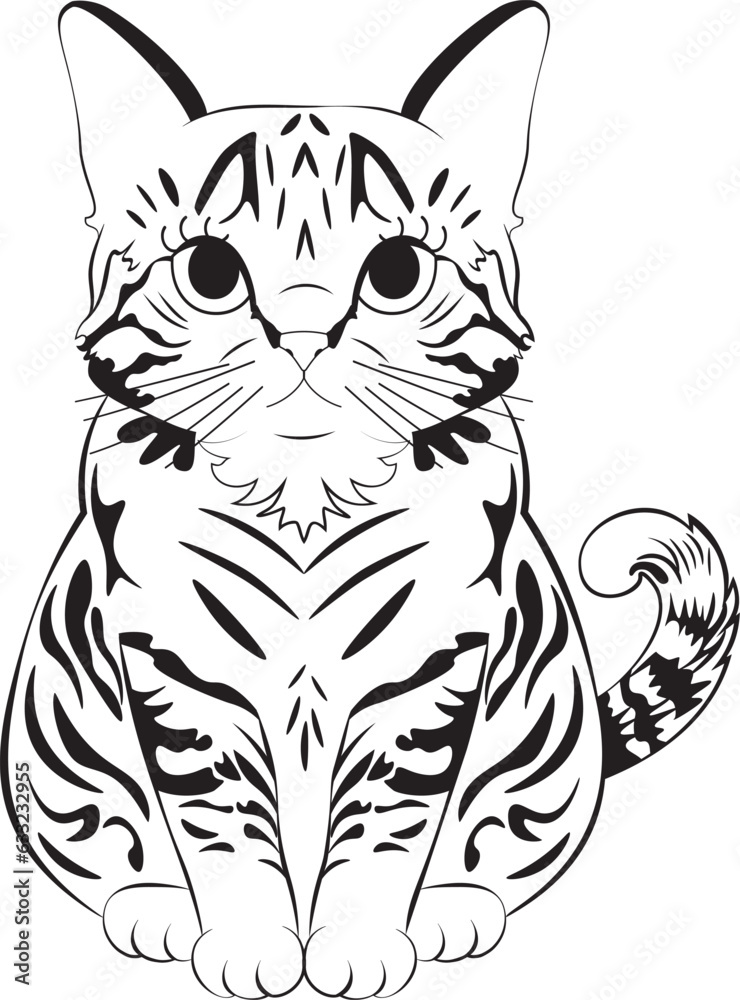 Obraz premium Tabby cat line art