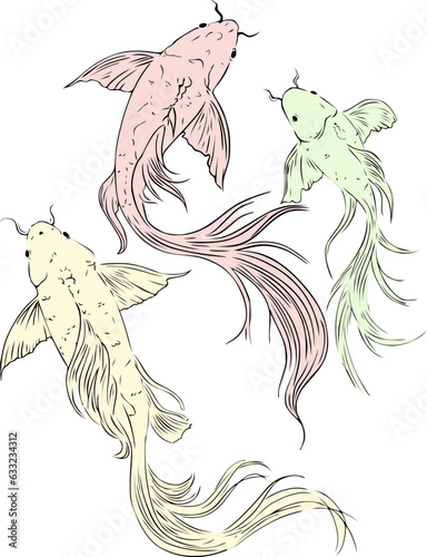 Photography Vector illustration of three Koi fish