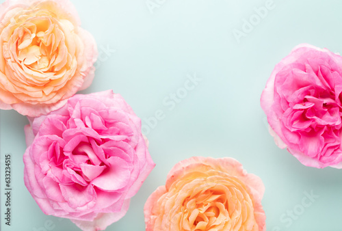Blurred background with rose. Copy space for your text. Mock up template. Can be used for wallpaper, wedding card.