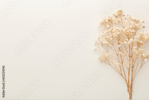 Wallpaper Mural Beautiful flower background of pastel gypsophila flowers. Flat lay, top view. Torontodigital.ca