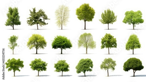 High-definition collection Tree isolated on a white background