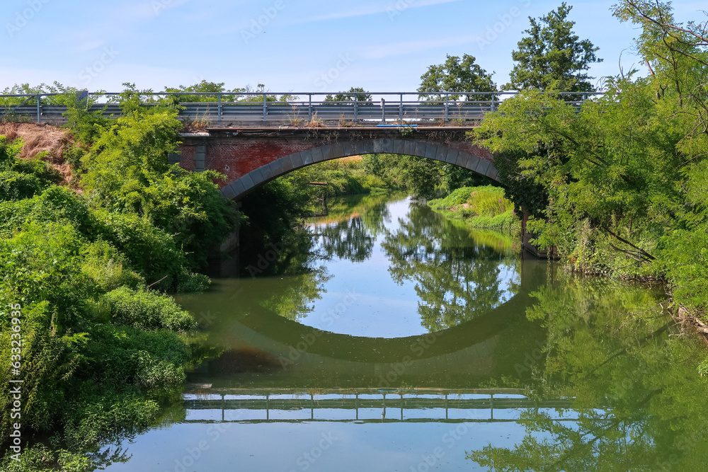 Fototapeta premium Olona river panorama nature natural landscape vision water plants beautiful