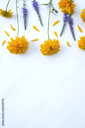 September yellow flowers  Rudbeckia Laciniata  on white background. Composition  frame corner folded from yellow flowers. Top view  flat lay  copy space.