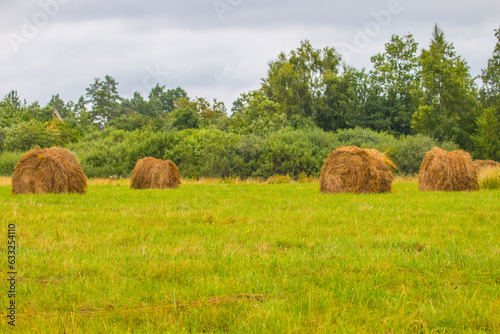 Grassland with hay bales on the outskirts of the forest photo