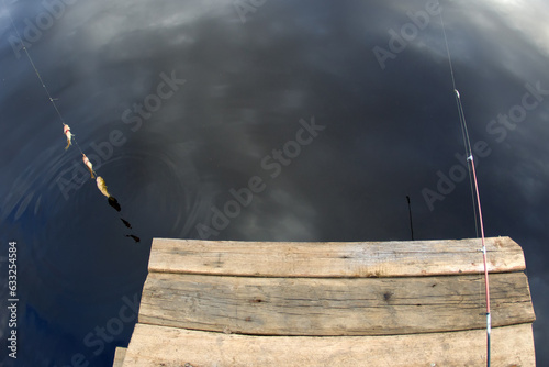 Village fishing - a joyful set. Three ruffs were caught and one ledgering rod. Fish on the background of river and wooden pier. Fisheye lens photo