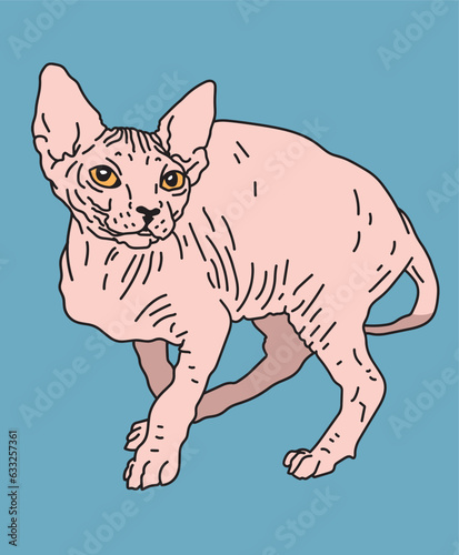 Sphynx Cat Dynamic Pose Standing