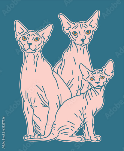 Sphynx Cat Three Cats Sitting