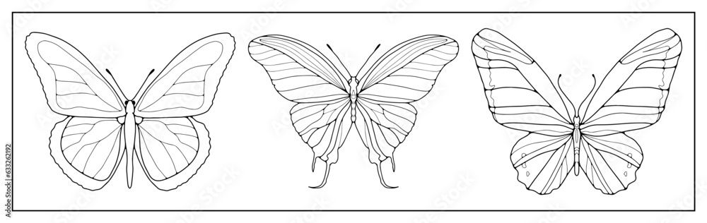 A set of three contours of butterflies on a white background. Background for coloring books, decor, creating designs and patterns.