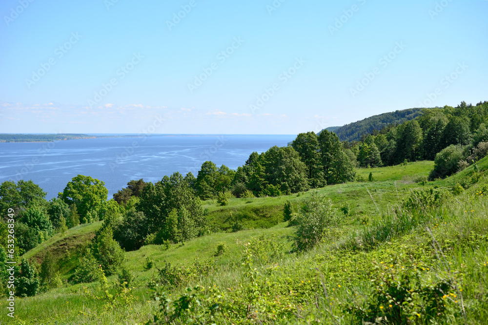 hilly coast with green grass and green forest with clear sky copy space 