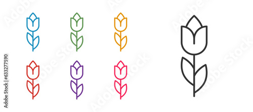 Fototapeta Naklejka Na Ścianę i Meble -  Set line Flower tulip icon isolated on white background. 8 March. International Happy Women Day. Set icons colorful. Vector