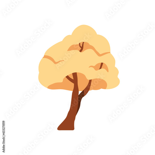 Autumn tree plant with leaf crown. Forest fall deciduous with trunk, stem, lu...
