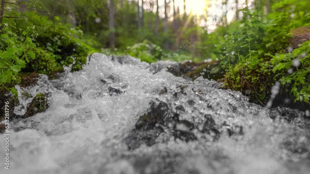 Fast stream in green forest with small waterfalls. Crystal clear water in small mountain river in the forest. Slow motion, steadicam shot Fast stream in green forest with small waterfalls. Crystal clear water in small mountain river in the forest. Slow motion, steadicam shot