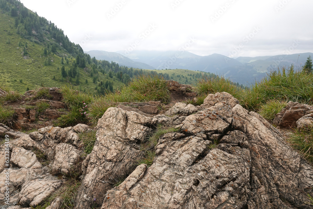 Wide angle rural natural parkland landscape scenic view on the Austrian alps with a large rock, against a grey sky