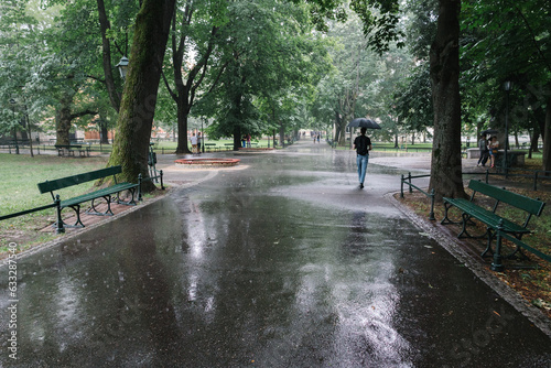 Rain in Krakow park in summertime