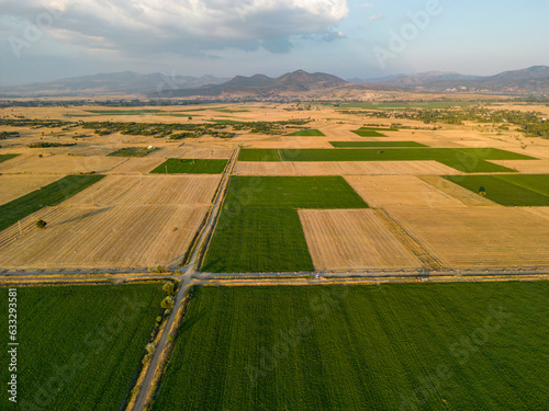 Seeds of Progress: Thriving Fields in a Sustainable World photo