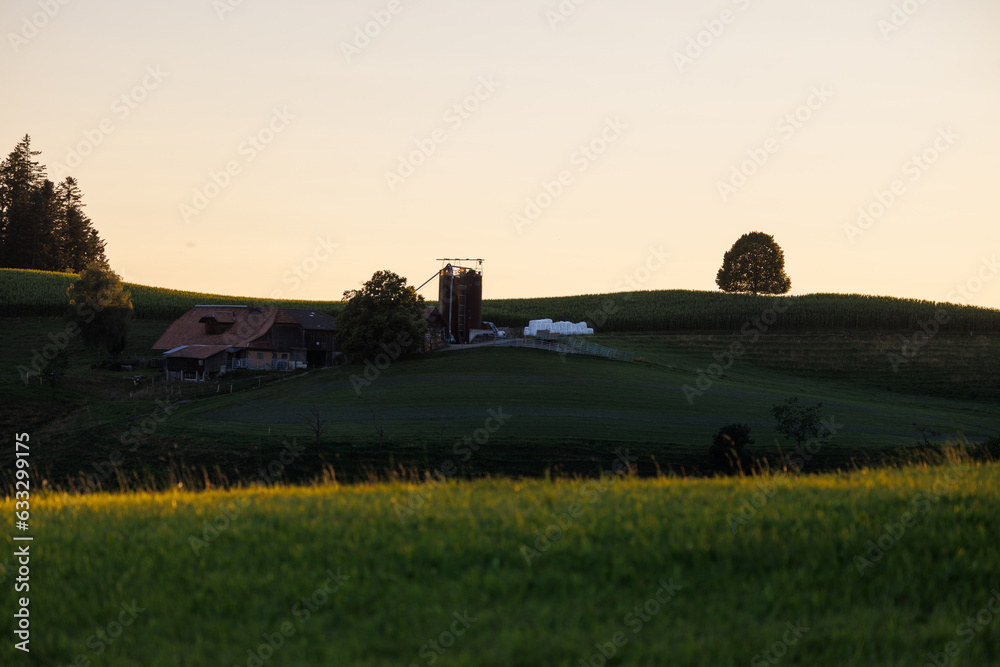 farm in the hills of Emmental during a summer evening