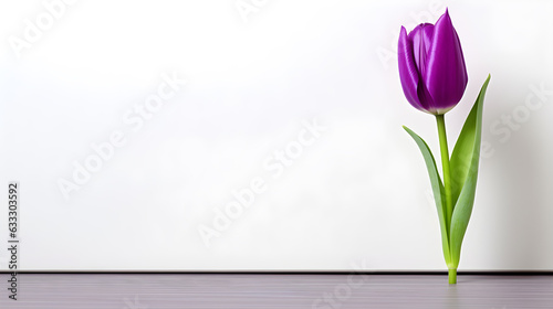 A single tulip is in a white room with a white wall as a background and a purple floor Generative AI illustrations #633303592
