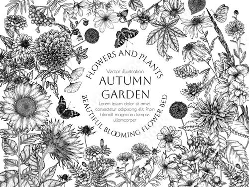 Vector illustration autumn garden. Dahlia, cosmos, zinnia, marigold, calendula, rudbeckia, gladiolus, datura, eryngium, allium and fallen leaves, berries in engraving style