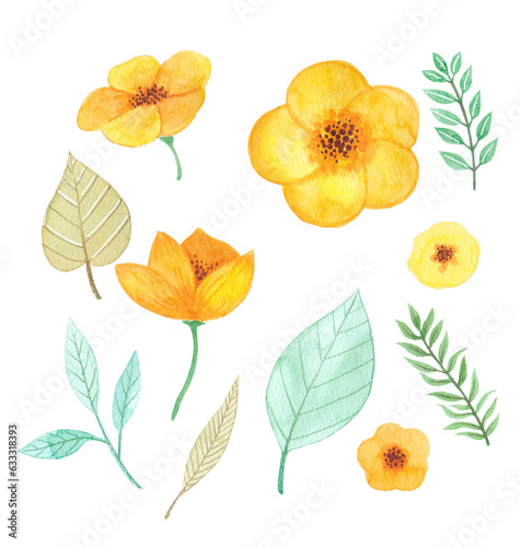 Watercolor yellow flowers and leaves  botanical pattern illustration