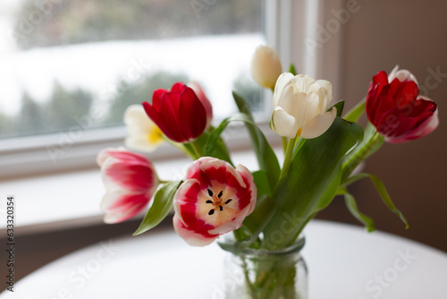 A beautiful tulips bouquet by the kitchen window. 