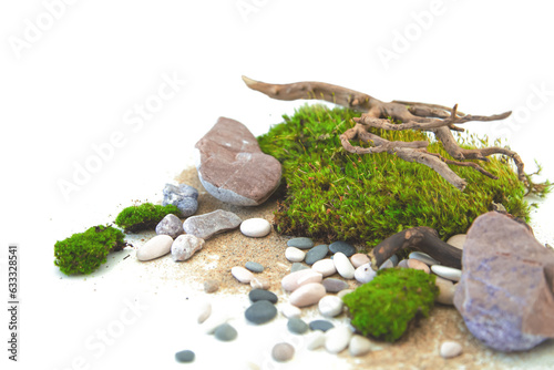 Green moss, stones, sand and crooked driftwood on a white background. photo