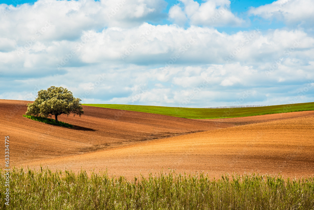 Ταπετσαρία Paisagem agricola no Alentejo