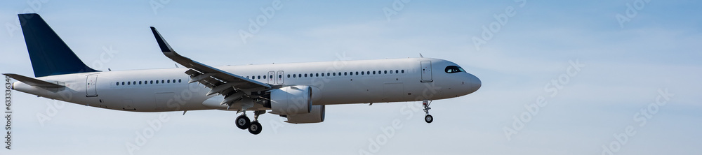 Εκτύπωση καμβά Side view of an airplane landing against a blue sky. Widescreen.