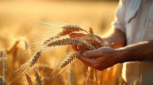 man pours wheat from hand to hand on the background of wheat field. Generative AI