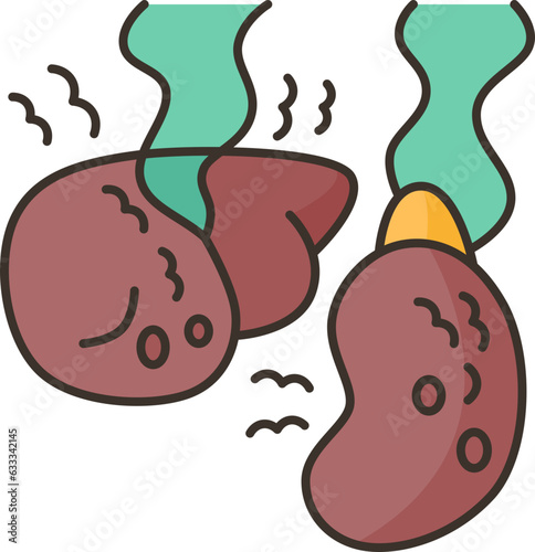 kidney  icon