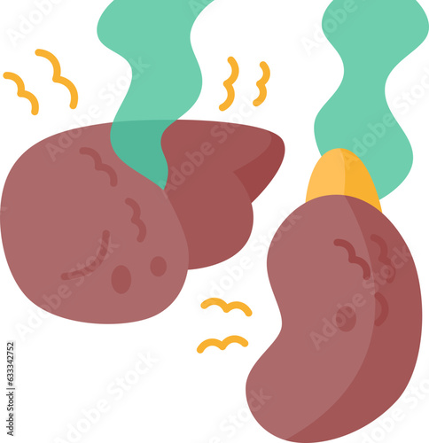 kidney  icon