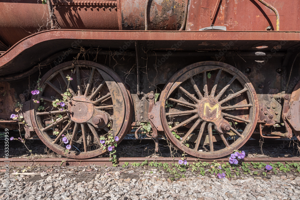 Detail of a train wheel from a rusty railroad car on a track with purple flowers