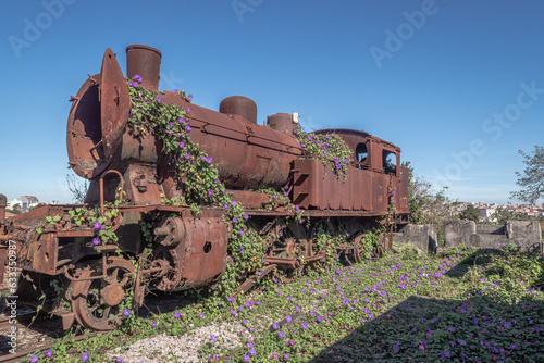 Rusty rail car on a track overgrown by purple flowers